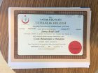 Prof. Dr. Betül Tavil Çocuk Sağlığı ve Hastalıkları sertifikası