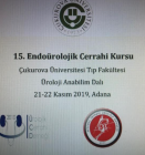 Prof. Dr. Volkan İzol Üroloji sertifikası