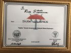 Uzm. Kl. Psk. Dilek Gülveren Psikoloji sertifikası