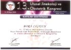 Doç. Dr. Bora Coskun Kadın Hastalıkları ve Doğum sertifikası