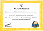 Uzm. Psk. Ayşenur Ayyıldız Psikoloji sertifikası
