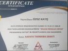 Psk. Dan. Özge Kayış Psikolojik Danışman sertifikası
