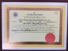 Doç. Dr. Avni Tolga Eryılmaz Plastik Rekonstrüktif ve Estetik Cerrahi sertifikası