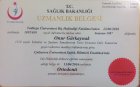Dr. Öğr. Üyesi Onur Gürkaynak Diş Hekimi sertifikası