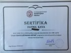 Uzm. Psk. Dan. Fatma Kaya Psikolojik Danışman sertifikası