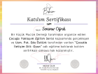 Psk. Senanur Oğrak Psikoloji sertifikası