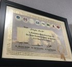 Yrd. Doç. Dr. Sezgin Kurt Kulak Burun Boğaz hastalıkları - KBB sertifikası