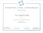 Prof. Dr. Şengül Özdek Göz Hastalıkları sertifikası