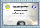 Prof. Dr. Sedat Işıkay Çocuk Sağlığı ve Hastalıkları sertifikası