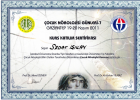 Doç. Dr. Sedat Işıkay Çocuk Sağlığı ve Hastalıkları sertifikası