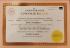 Op. Dr. Elnur Nurullayev Çocuk Cerrahisi sertifikası