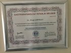 Prof. Dr. Serab Arslan Gastroenteroloji sertifikası