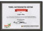 Dyt. Çağla ALBAY Diyetisyen sertifikası