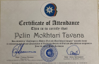 Uzm. Dt. Pelin Tavana Diş Protez Uzmanı sertifikası
