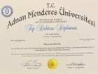 Uzm. Dr. Dilşad Bingöl Psikiyatri sertifikası