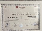 Aile Danışmanı Ceren Koyuncı Yeşilçay Aile Danışmanı sertifikası
