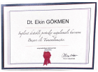 Dt. Ekin Gökmen Akmansu Diş Hekimi sertifikası