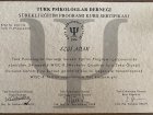 Psk. Ezgi Adak Ulukal Psikoloji sertifikası