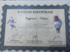 Fzt. Şeyhmus Güzel Fizyoterapi sertifikası