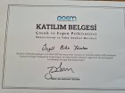 Dr. Özgül Yücalan Psikoloji sertifikası