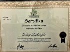 Psk. Dan. Dilay Şişkooğlu Psikolojik Danışman sertifikası