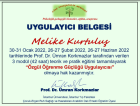 Psk. Dan. Melike Kurtuluş Psikolojik Danışman sertifikası