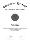 Op. Dr. Uğur Tolga Şen Üroloji sertifikası