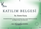 Psk. Sinem Kayış Psikoloji sertifikası