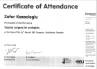 Prof. Dr. Zafer Kozacıoğlu Üroloji sertifikası