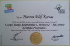 Fzt. Havva Elif Kırca Fizyoterapi sertifikası