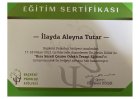 Psk. Dan. İlayda Tutar Psikolojik Danışman sertifikası