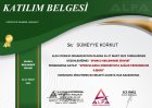 Dyt. Sümeyye Korkut Diyetisyen sertifikası