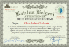 Çocuk Gelişim Ebru Aslan Özdemir Çocuk Gelişim sertifikası