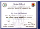 Prof. Dr. Engin Çetinkaya Ortopedi ve Travmatoloji sertifikası