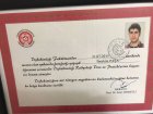 Dt. İbrahim Paşa Diş Hekimi sertifikası