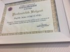 Prof. Dr. Ali Metin Görgüner Göğüs Hastalıkları sertifikası