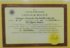Uzm. Dr. Elyesa Karaca Dahiliye - İç Hastalıkları sertifikası