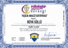 Uzm. Kl. Psk. Rüya Süllü Psikoloji sertifikası