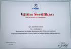 Psk. Ezginur Ayhan Psikoloji sertifikası