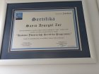 Dt. Ayşegül Zor Diş Hekimi sertifikası