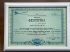 Aile Danışmanı Gizem Dağlı Aile Danışmanı sertifikası