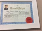 Prof. Dr. Ali Metin Görgüner Göğüs Hastalıkları sertifikası