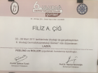 Uzm. Dr. Filiz Altıoğlu Çığ Dermatoloji sertifikası