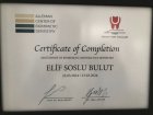 Uzm. Dt. Elif Soslu Bulut Diş Hekimi sertifikası