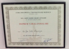 Op. Dr. Sıtkı Kuşkaya Ortopedi ve Travmatoloji sertifikası
