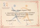 Klinik Psikolog  Zeynep Tepe Klinik Psikolog sertifikası