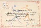 Klinik Psikolog Zeynep Tepe Klinik Psikolog sertifikası
