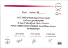 Psk. Merve Öz Psikoloji sertifikası