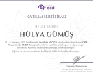 Uzman Aile Danışmanı Hülya Gümüş Aile Danışmanı sertifikası