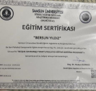 Psk. Bersun Demir Psikoloji sertifikası